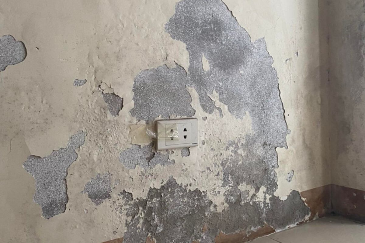 Xử lý lỗi tấm ốp tường bị nứt – Giải pháp hiệu quả từ Nội thất Tân Trường Minh